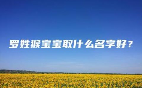 罗姓猴宝宝取什么名字好？