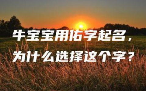 牛宝宝用佑字起名，为什么选择这个字？