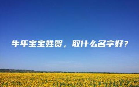 牛年宝宝姓贺，取什么名字好？