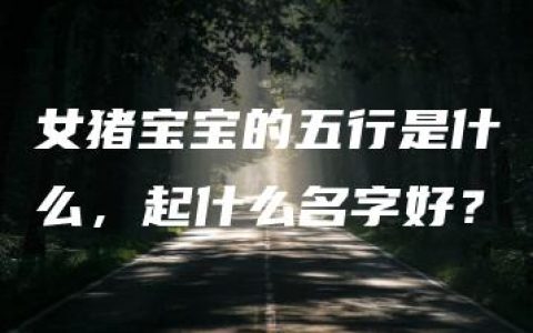 女猪宝宝的五行是什么，起什么名字好？