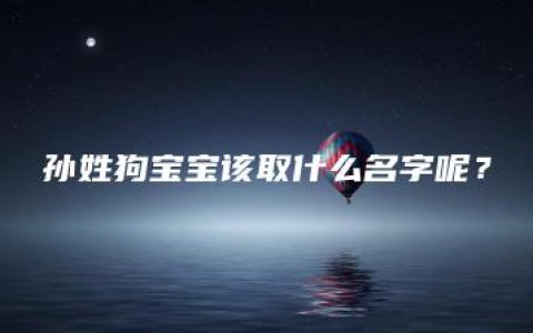 孙姓狗宝宝该取什么名字呢？