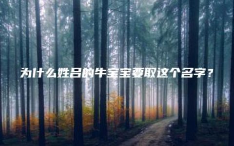 为什么姓吕的牛宝宝要取这个名字？