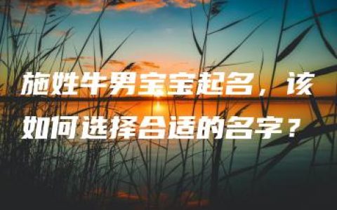 施姓牛男宝宝起名，该如何选择合适的名字？