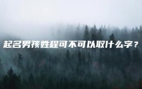 起名男孩姓程可不可以取什么字？