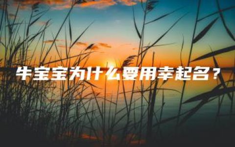 牛宝宝为什么要用幸起名？