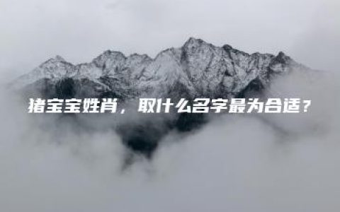 猪宝宝姓肖，取什么名字最为合适？