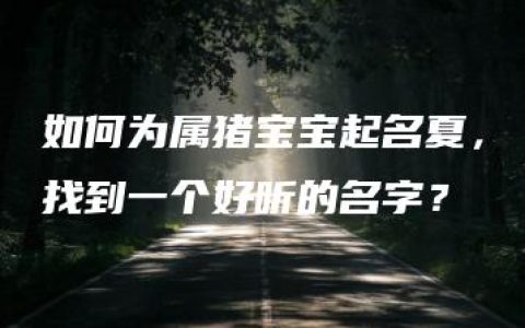 如何为属猪宝宝起名夏，找到一个好听的名字？