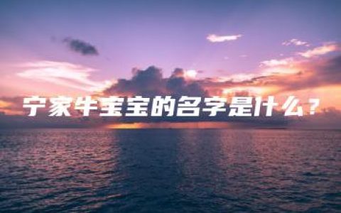 宁家牛宝宝的名字是什么？