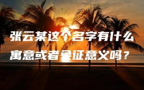 张云某这个名字有什么寓意或者象征意义吗？