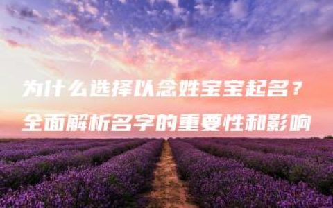 为什么选择以念姓宝宝起名？全面解析名字的重要性和影响