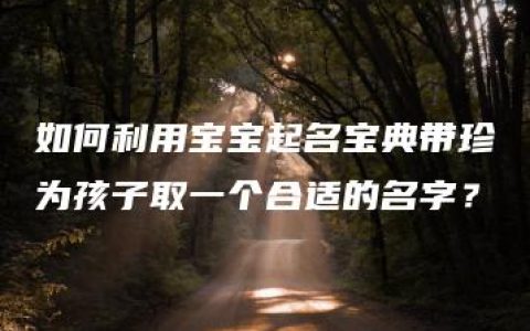 如何利用宝宝起名宝典带珍为孩子取一个合适的名字？