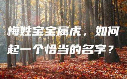 梅姓宝宝属虎，如何起一个恰当的名字？