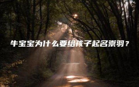 牛宝宝为什么要给孩子起名崇羽？