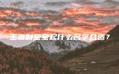 王贵财宝宝起什么名字合适？