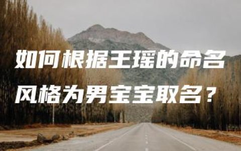 如何根据王瑶的命名风格为男宝宝取名？