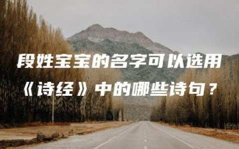 段姓宝宝的名字可以选用《诗经》中的哪些诗句？