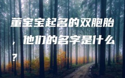 董宝宝起名的双胞胎，他们的名字是什么？