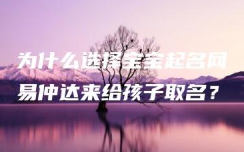 为什么选择宝宝起名网易仲达来给孩子取名？