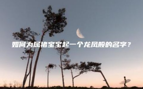 如何为属猪宝宝起一个龙凤般的名字？