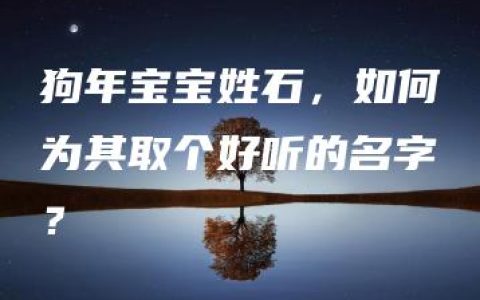 狗年宝宝姓石，如何为其取个好听的名字？