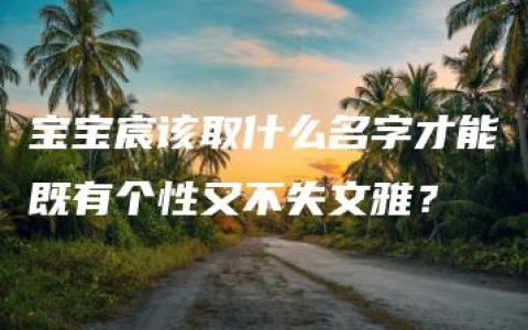 宝宝宸该取什么名字才能既有个性又不失文雅？