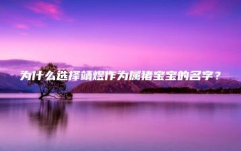 为什么选择靖煜作为属猪宝宝的名字？