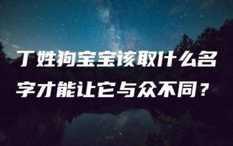 丁姓狗宝宝该取什么名字才能让它与众不同？