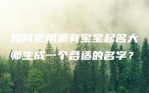 如何使用哪有宝宝起名大师生成一个合适的名字？