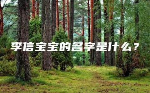 李信宝宝的名字是什么？