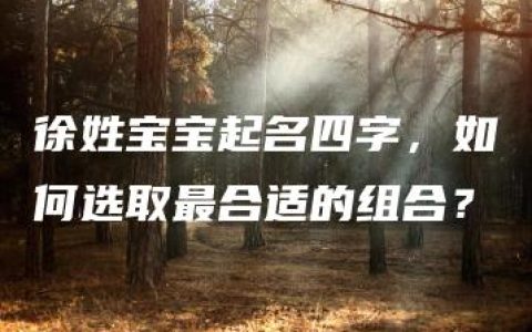 徐姓宝宝起名四字，如何选取最合适的组合？