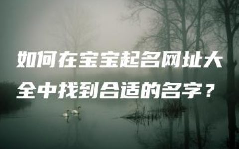 如何在宝宝起名网址大全中找到合适的名字？