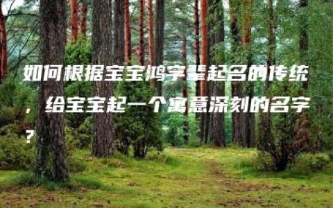 如何根据宝宝鸿字辈起名的传统，给宝宝起一个寓意深刻的名字？