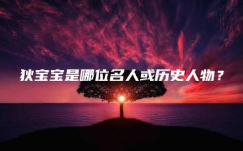 狄宝宝是哪位名人或历史人物？