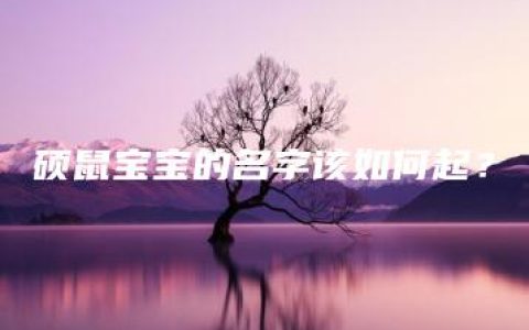 硕鼠宝宝的名字该如何起？