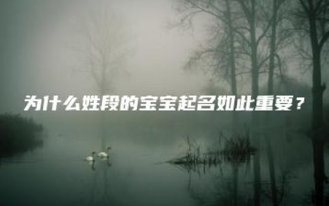 为什么姓段的宝宝起名如此重要？