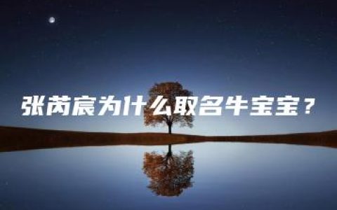 张芮宸为什么取名牛宝宝？