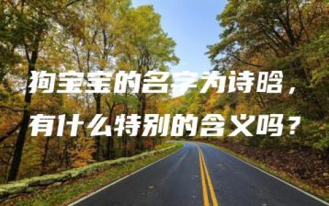 狗宝宝的名字为诗晗，有什么特别的含义吗？