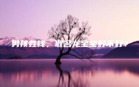 男孩姓钱，取名龙宝宝好不好？