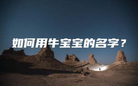 如何用牛宝宝的名字？