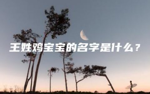 王姓鸡宝宝的名字是什么？