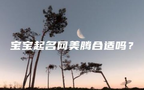 宝宝起名网美腾合适吗？