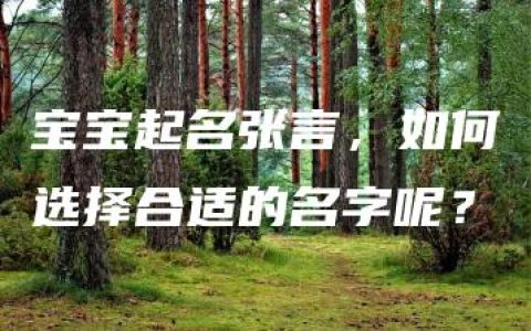 宝宝起名张言，如何选择合适的名字呢？