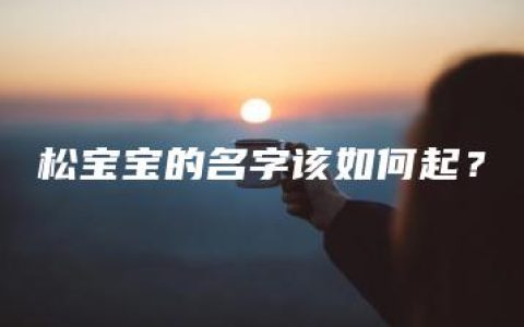 松宝宝的名字该如何起？