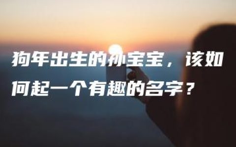 狗年出生的孙宝宝，该如何起一个有趣的名字？