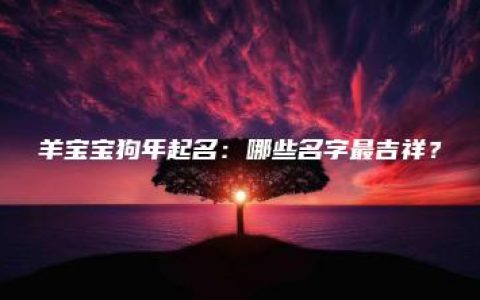 羊宝宝狗年起名：哪些名字最吉祥？