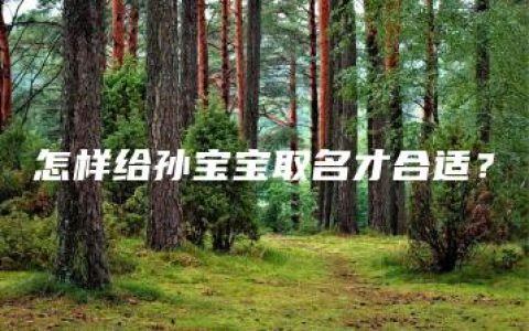 怎样给孙宝宝取名才合适？