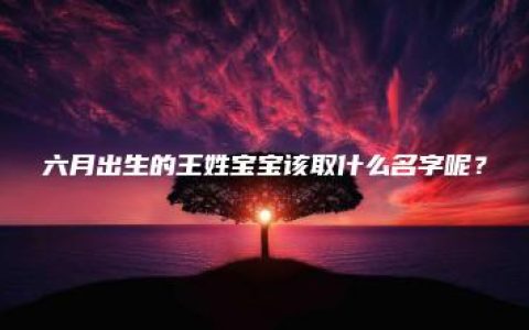 六月出生的王姓宝宝该取什么名字呢？