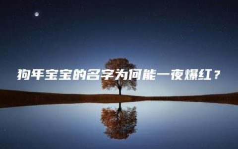 狗年宝宝的名字为何能一夜爆红？