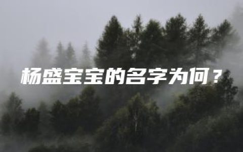 杨盛宝宝的名字为何？