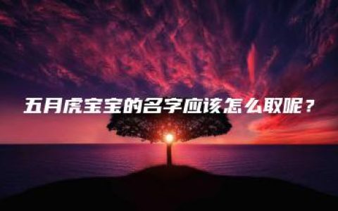 五月虎宝宝的名字应该怎么取呢？